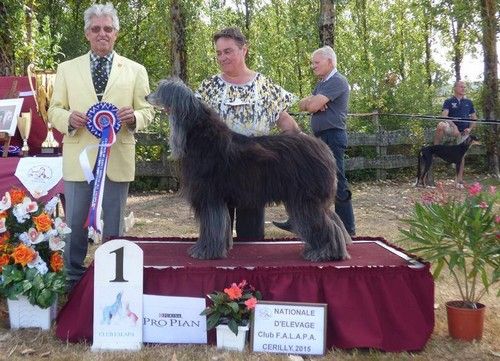 Du Clos Wareshom - Vahena championne  de france  a  11 ans et demi